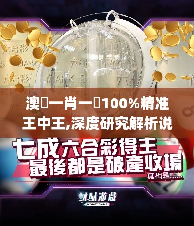 澳門一肖一碼100%精准王中王,深度研究解析说明_T39.822-9