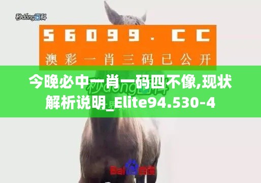 今晚必中一肖一码四不像,现状解析说明_Elite94.530-4