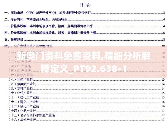 新奥门资料免费资料,精细分析解释定义_PT92.638-1