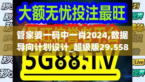 管家婆一码中一肖2024,数据导向计划设计_超级版29.558-1