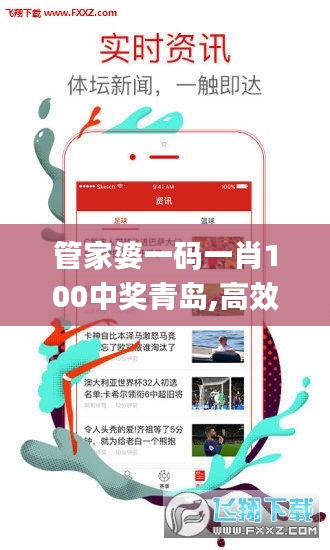 管家婆一码一肖100中奖青岛,高效解析说明_app20.519-1