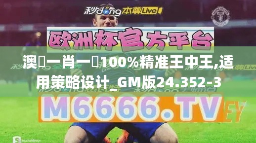 澳門一肖一碼100%精准王中王,适用策略设计_GM版24.352-3