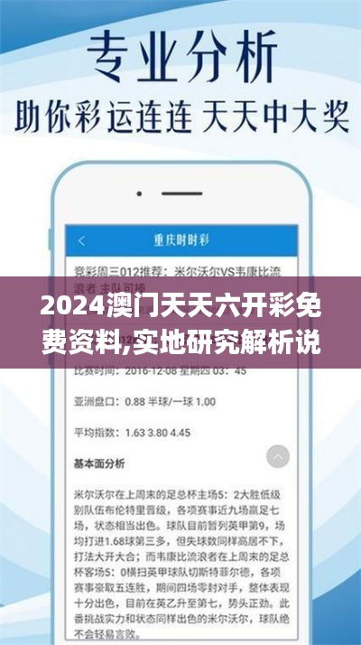 2024澳门天天六开彩免费资料,实地研究解析说明_潮流版52.462-9