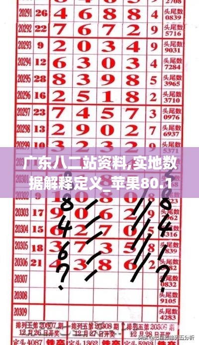 广东八二站资料,实地数据解释定义_苹果80.175-9