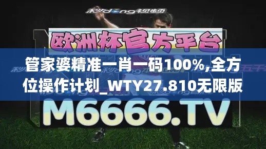 管家婆精准一肖一码100%,全方位操作计划_WTY27.810无限版