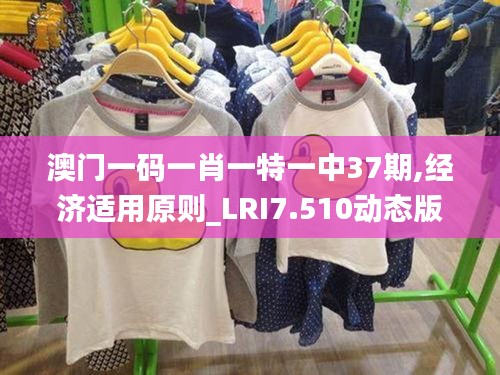 澳门一码一肖一特一中37期,经济适用原则_LRI7.510动态版