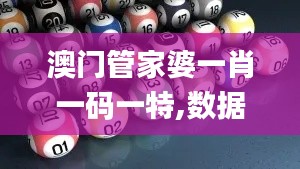 澳门管家婆一肖一码一特,数据科学解析说明_NIW13.981可变版