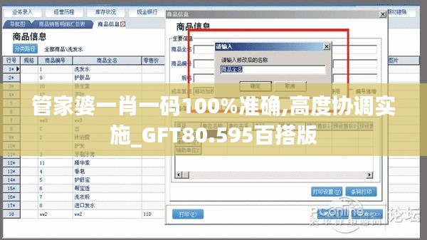 管家婆一肖一码100%准确,高度协调实施_GFT80.595百搭版