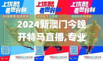 2024新澳门今晚开特马直播,专业调查具体解析_XTW81.891公积板