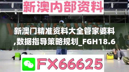 新澳门精准资料大全管家婆料,数据指导策略规划_FGH18.686拍照版