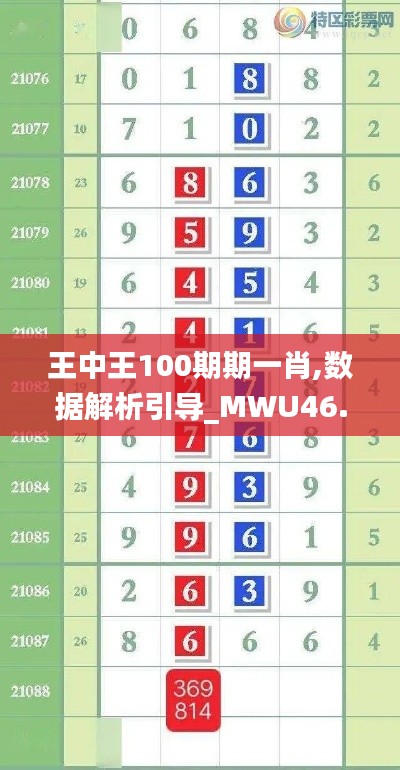 王中王100期期一肖,数据解析引导_MWU46.142方案版