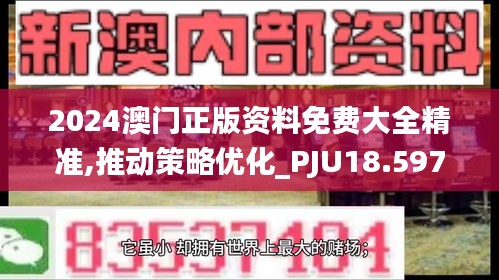 2024澳门正版资料免费大全精准,推动策略优化_PJU18.597沉浸版