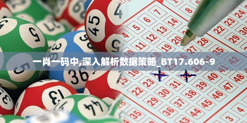 一肖一码中,深入解析数据策略_BT17.606-9