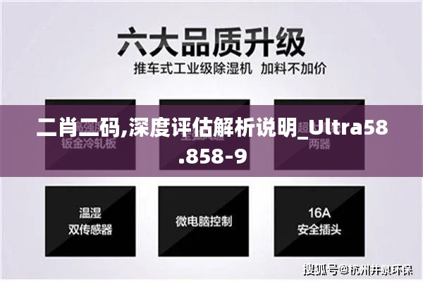 二肖二码,深度评估解析说明_Ultra58.858-9