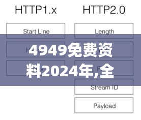 4949免费资料2024年,全面信息解释定义_PON46.807计算机版