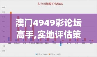 澳门4949彩论坛高手,实地评估策略数据_粉丝款35.867-5