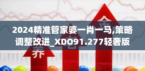 2024精准管家婆一肖一马,策略调整改进_XDO91.277轻奢版