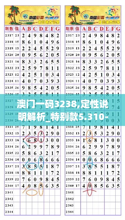 澳门一码3238,定性说明解析_特别款5.310-6