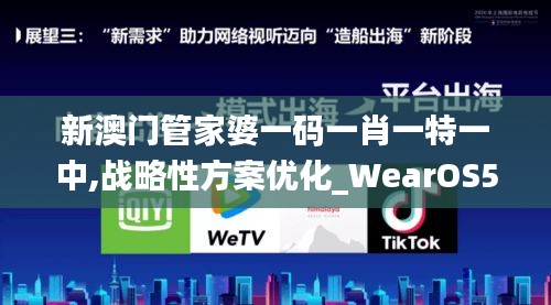 新澳门管家婆一码一肖一特一中,战略性方案优化_WearOS51.280-7