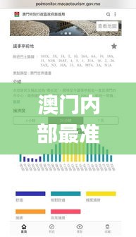 澳门内部最准资料澳门,全面数据分析方案_4DM89.318-9