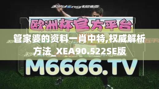 管家婆的资料一肖中特,权威解析方法_XEA90.522SE版