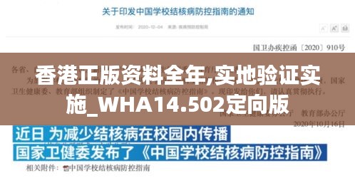 香港正版资料全年,实地验证实施_WHA14.502定向版