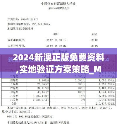 2024新澳正版免费资料,实地验证方案策略_Max3.854-9