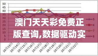 澳门天天彩免费正版查询,数据驱动实施方案_3D60.334-2