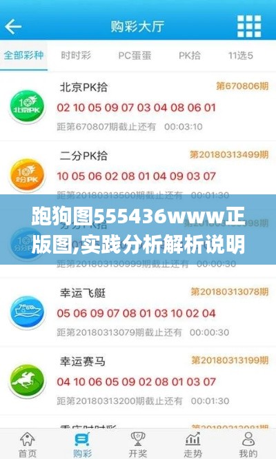 跑狗图555436www正版图,实践分析解析说明_mShop74.619-1