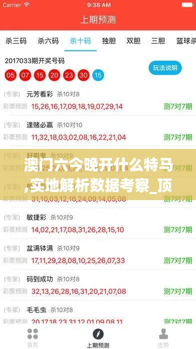 澳门六今晚开什么特马,实地解析数据考察_顶级版1.892-6