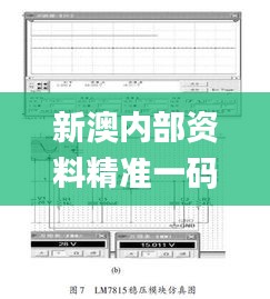 新澳内部资料精准一码,精细设计方案_创新版33.919-4