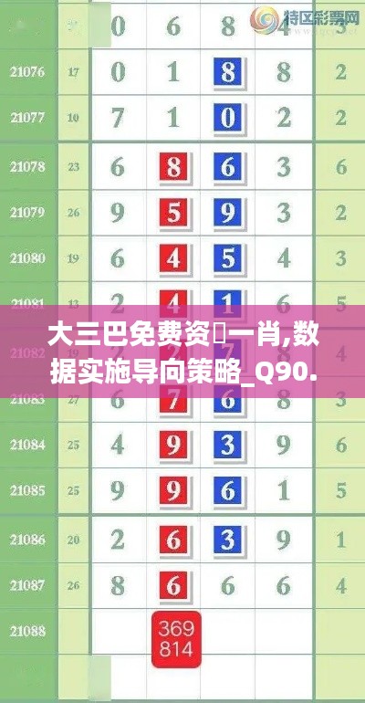 大三巴免费资枓一肖,数据实施导向策略_Q90.995-5