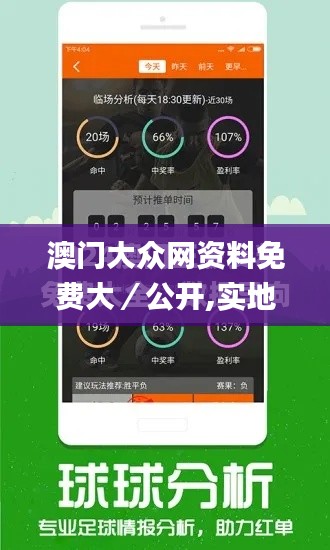 澳门大众网资料免费大／公开,实地评估策略_模拟版47.895-1