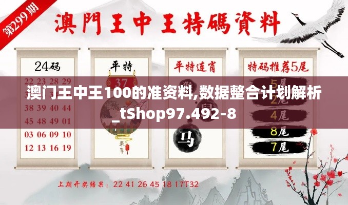 澳门王中王100的准资料,数据整合计划解析_tShop97.492-8