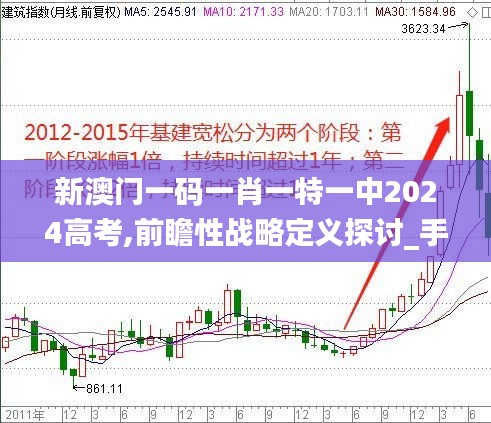 新澳门一码一肖一特一中2024高考,前瞻性战略定义探讨_手游版3.275-7