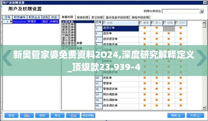 新奥管家婆免费资料2O24,深度研究解释定义_顶级款23.939-4