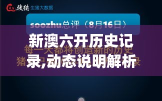 新澳六开历史记录,动态说明解析_SHD52.442-1