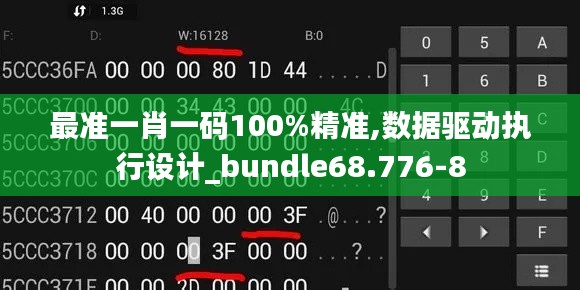 最准一肖一码100%精准,数据驱动执行设计_bundle68.776-8