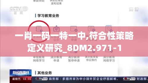 一肖一码一特一中,符合性策略定义研究_8DM2.971-1