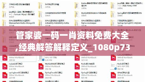 管家婆一码一肖资料免费大全,经典解答解释定义_1080p73.434-3