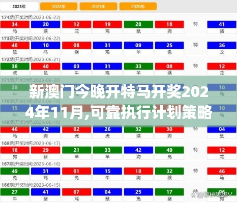 新澳门今晚开特马开奖2024年11月,可靠执行计划策略_MT13.199-3