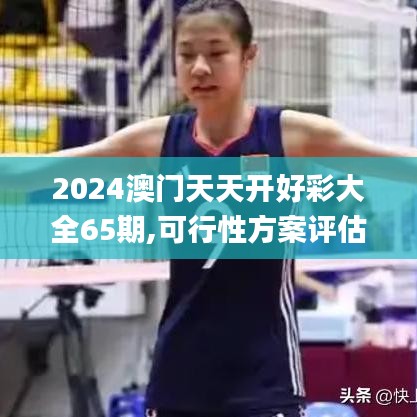 2024澳门天天开好彩大全65期,可行性方案评估_至尊版3.974