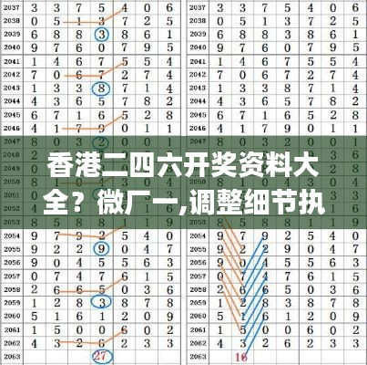 香港二四六开奖资料大全？微厂一,调整细节执行方案_MT2.853