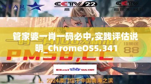 管家婆一肖一码必中,实践评估说明_ChromeOS5.341