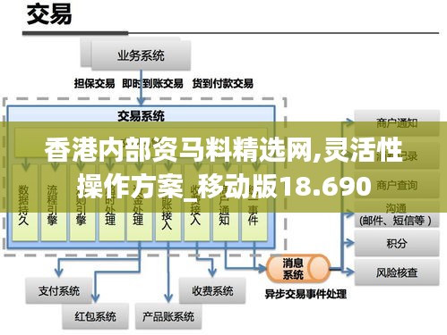 香港内部资马料精选网,灵活性操作方案_移动版18.690