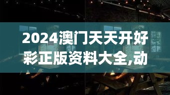 2024澳门天天开好彩正版资料大全,动态解析词汇_HDR版9.149