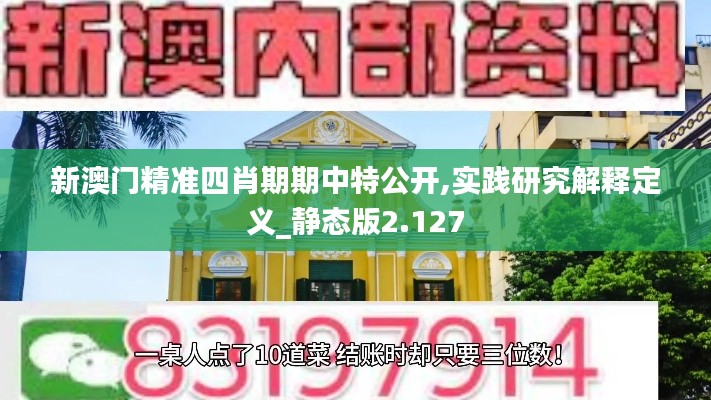 新澳门精准四肖期期中特公开,实践研究解释定义_静态版2.127