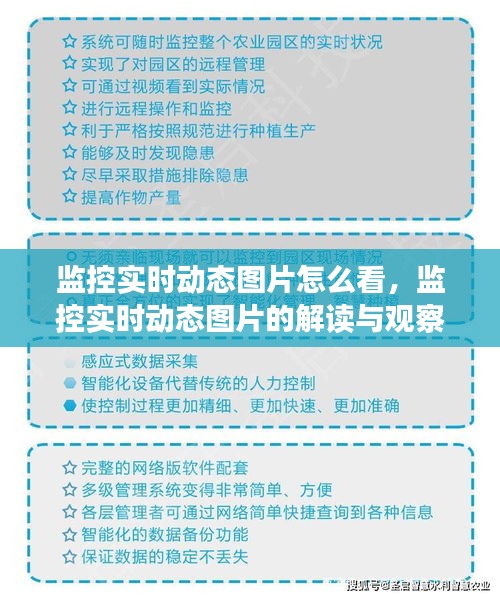 监控实时动态图片的解读与观察方法指南