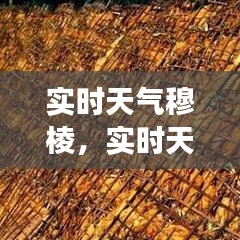 穆棱市实时天气预报，气候变化与日常生活影响解析