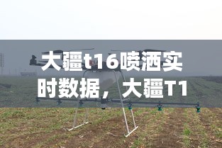 大疆T16喷洒无人机实时数据在农业中的应用与创新，精准喷洒，智能农业新篇章